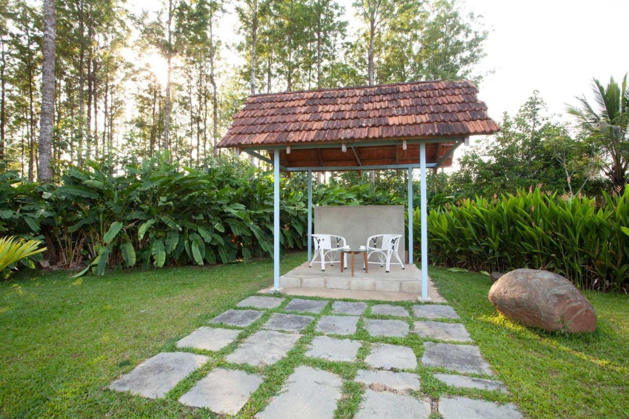 Stayvista At Cedar - Strelitzia 2Bhk With Breakfast And Jacuzzi Chikmagalūr Eksteriør bilde